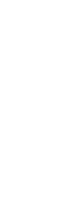 Logo Blanco Syelth@4x-8