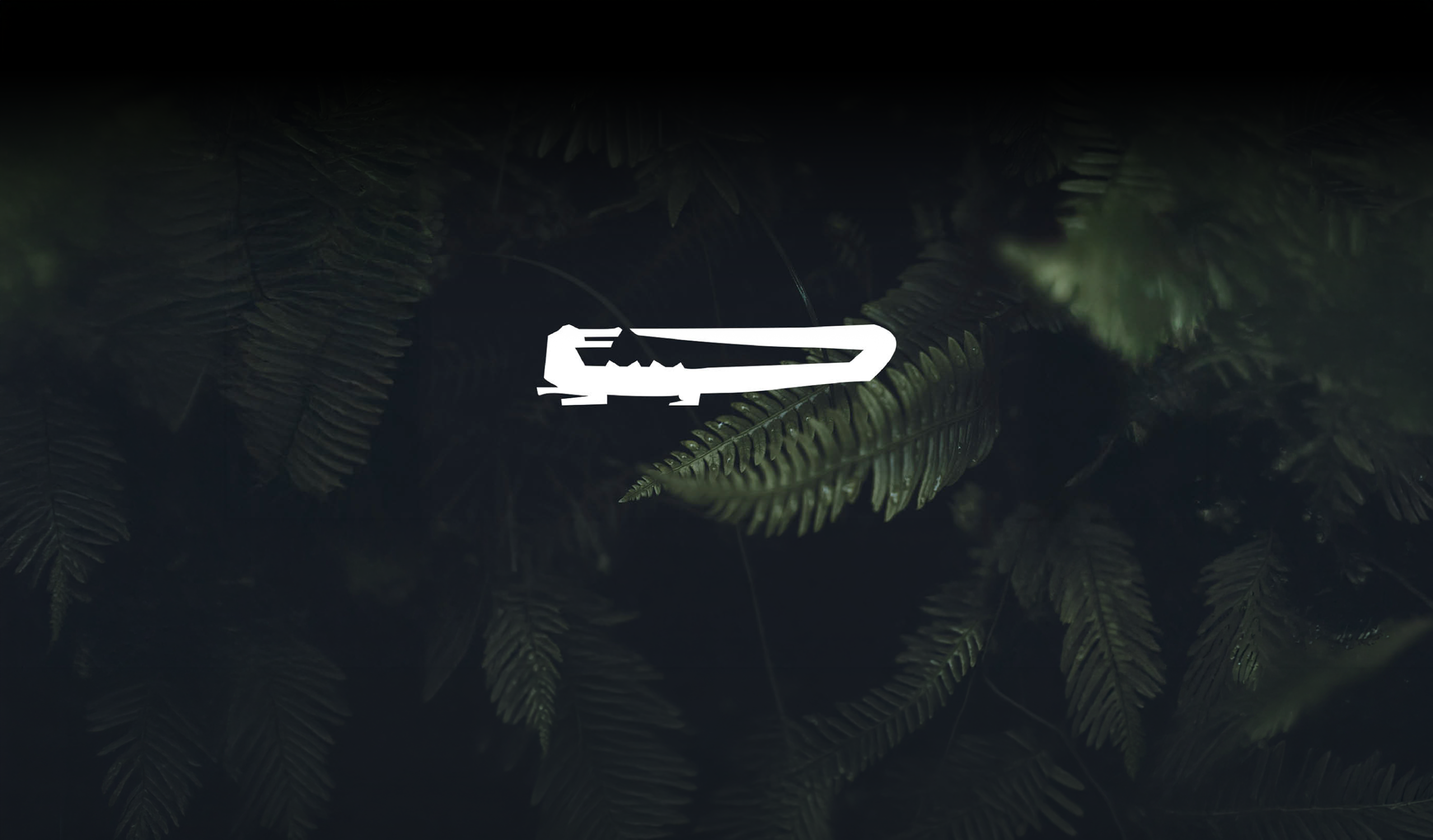 MRIO Portada